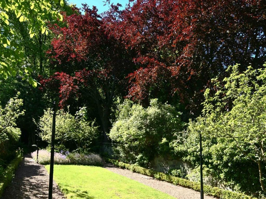 Halcyon House Gasthof Edinburgh